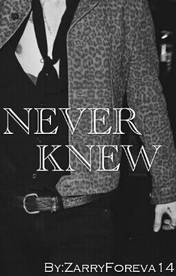 Never Knew [Zarry AU]