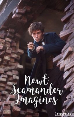 Newt Scamander Imagines (temporarily discontinued)