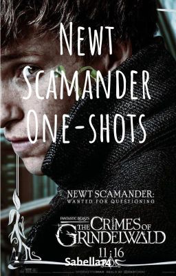 Newt Scamander One-shots