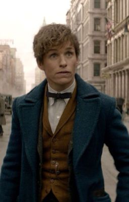 Newt Scamander two-shot