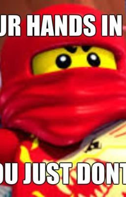 Nexo Knights, Ninjago, and Legends of Chima Memes