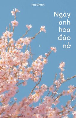 Ngày hoa anh đào nở | Shuqi