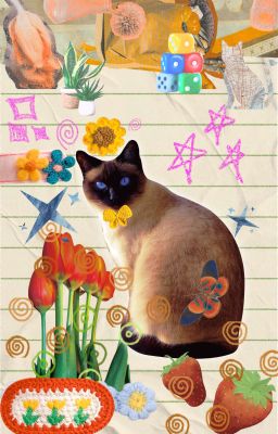 nghe đồn tuyển thủ P chỉ thích ngưu ma vương 