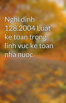 Nghi dinh 128.2004 Luat ke toan trong linh vuc ke toan nha nuoc