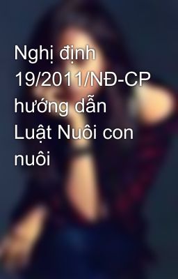 Nghị định 19/2011/NĐ-CP hướng dẫn Luật Nuôi con nuôi