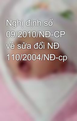 Nghị định số 09/2010/NĐ-CP về sửa đổi NĐ 110/2004/NĐ-cp