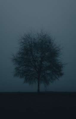 Ngốc. | Gill x Jaysonlei