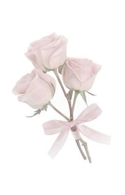 ngọc vũ ; thầy và em.