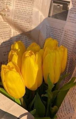 ngọcvũ || không đau nữa rồi.