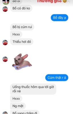 Ngôi nhà nhỏ số 23