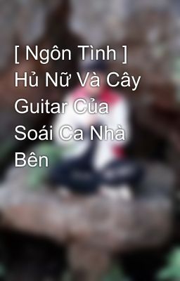 [ Ngôn Tình ] Hủ Nữ Và Cây Guitar Của Soái Ca Nhà Bên