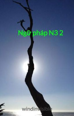 Ngữ pháp N3 2