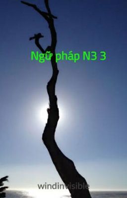 Ngữ pháp N3 3