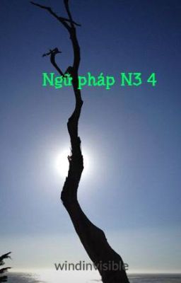 Ngữ pháp N3 4