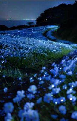 Người đầu tiên.