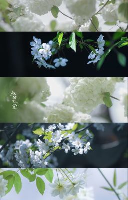 người lớn người nhỏ