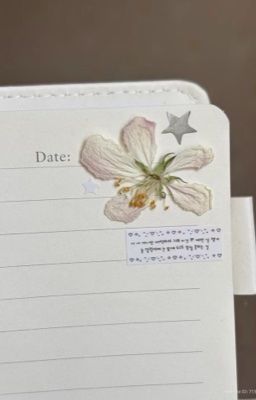 nguyện vọng duy nhất là quay lại với new york city