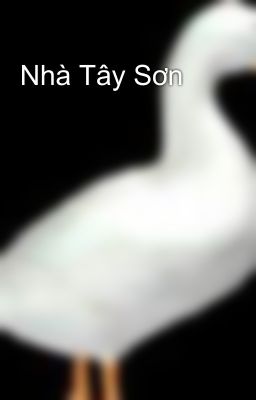 Nhà Tây Sơn