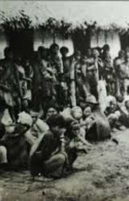 Nhiệm vụ 2 : Nạn đói năm Ất Dậu 1945