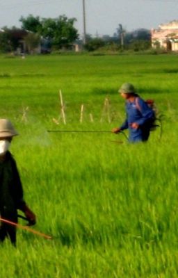 Những bài thơ về ba