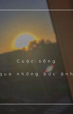 Những bức ảnh đời thường 📸