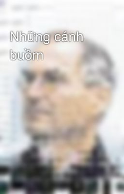 Những cánh buồm