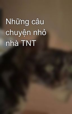 Những câu chuyện nhỏ nhà TNT