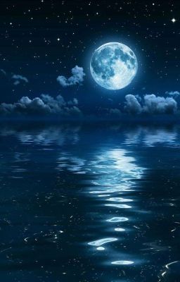 Những Câu Chuyện Tình Yêu [BJYX - Bác Chiến]