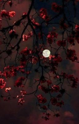 Những đêm kinh hoàng