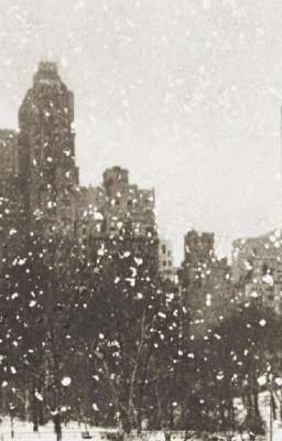 Những điều ta giữ lại trong tim