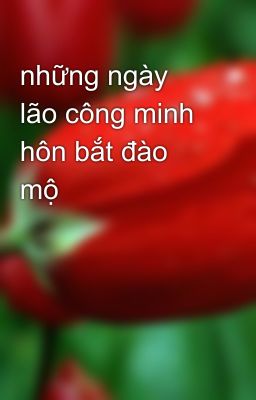 những ngày lão công minh hôn bắt đào mộ