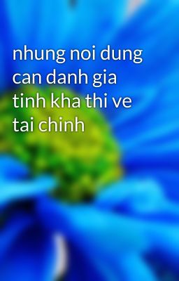 nhung noi dung can danh gia tinh kha thi ve tai chinh