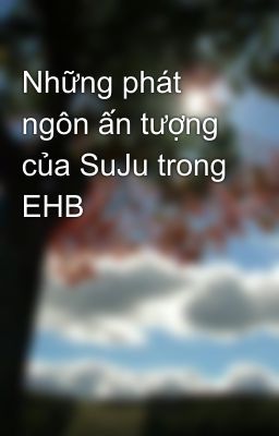 Những phát ngôn ấn tượng của SuJu trong EHB