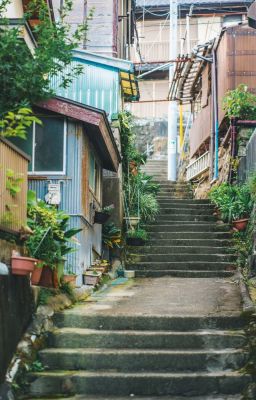 Những tháng ngày rực rỡ