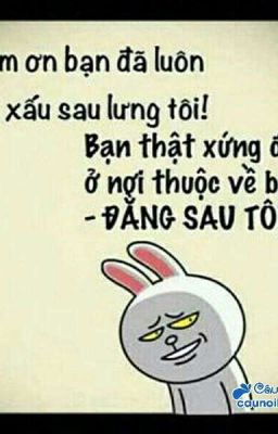 Những Thể Loại Bận Hãm Không Thể Tả Nổi Xung Quanh Tôi