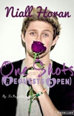 Niall Horan One Shots (Requests Open)