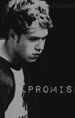 niall horan promise (punk niall)