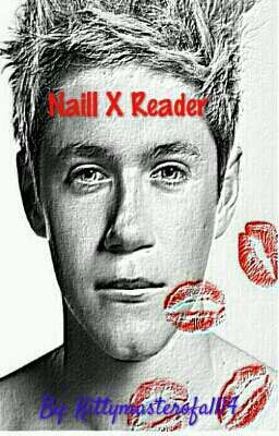 Niall x reader (continued)