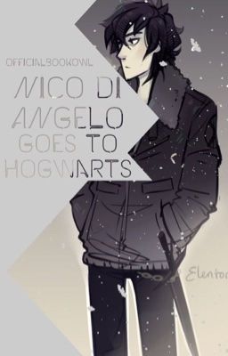 Nico di Angelo goes to Hogwarts