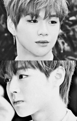 [NielWink] Ánh Sáng Soi Màn Đêm