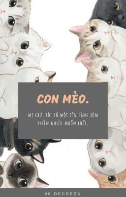 nielwink | con mèo là đầu câu chuyện.