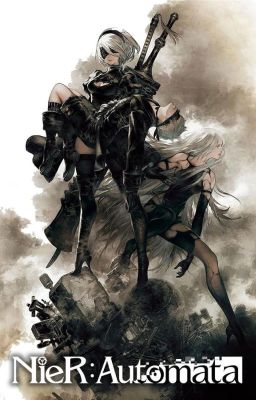 Nier Automata Roleplay