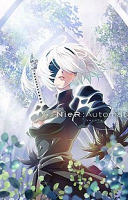 NieR Automata Ver1.1a Anime Roleplay