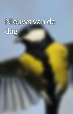 Nieuws van de dag