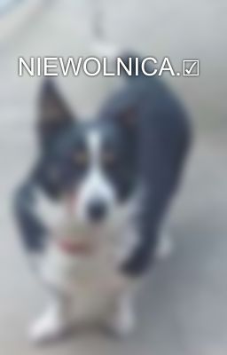 NIEWOLNICA.☑