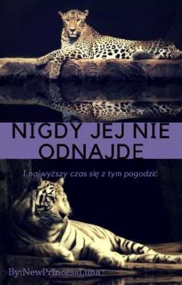 Nigdy jej nie odnajdę 