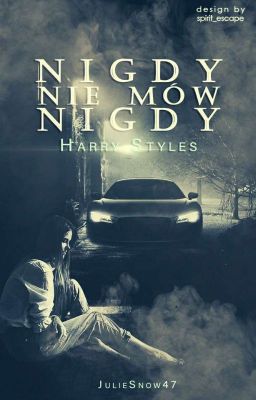 Nigdy nie mów nigdy || Harry Styles