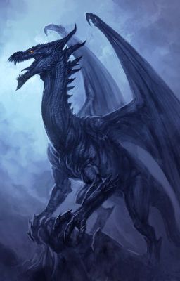 Nigellus le dragon noir