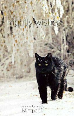 Nightly Wishes (A Warrior cats Command Game) 