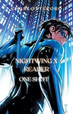 Nightwing x Reader [One Shot]